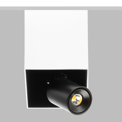 SWAN-10-Flexalighting-366754-rel39aaa63a.jpg