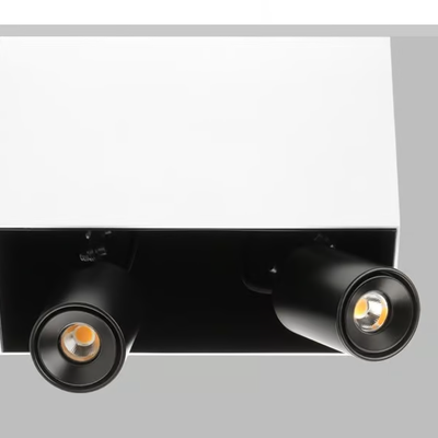 SWAN-X120-Flexalighting-366753-relb8dcc209.jpg