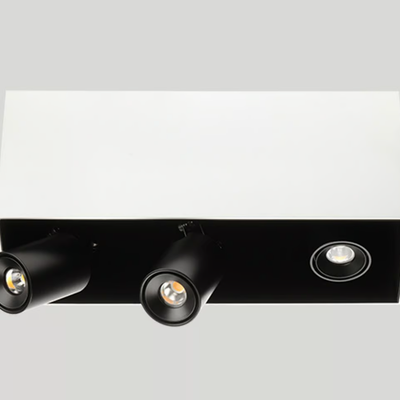 SWAN-X130-Flexalighting-366752-relbeaf1cc1.jpg