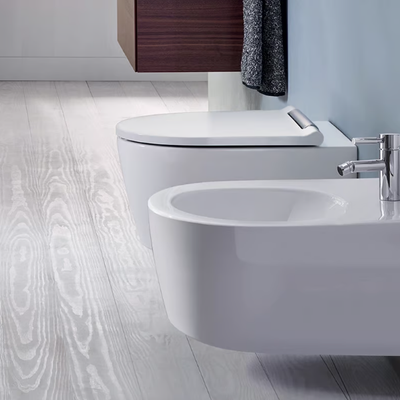 bidet-geberit-465624-relf7259ede.jpg