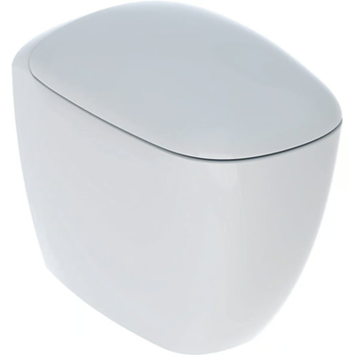 citterio-floor-mounted-toilet-geberit-503611-rel930e4c13.jpg