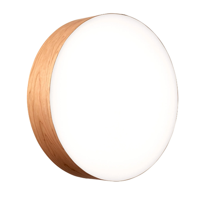 GEA-Wall-ceiling-lamp-LZF-542839-rel5fdd9299.jpg
