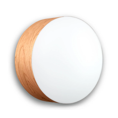 GEA-Wall-ceiling-lamp-LZF-542839-rel88e99fc0.jpg