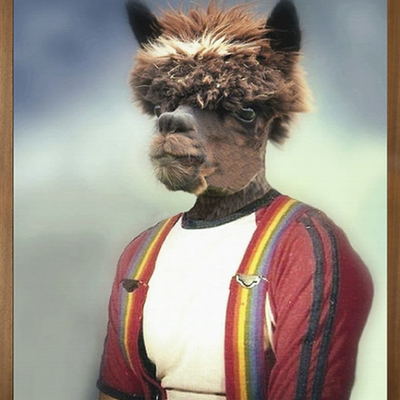 anthony-alpaca-mineheart-449763-rel475bab5f.jpg