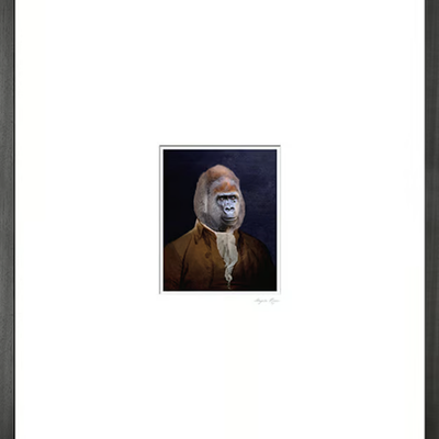 gorilla-mineheart-449771-relce5c7051.jpg