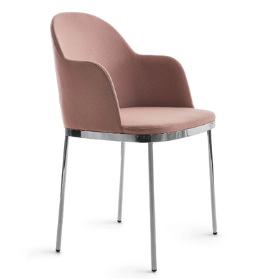 precious-family-moroso-437865-reld167bc97.jpg