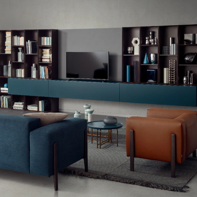 people-bookcase-pianca-445441-rel51fdb934.jpg