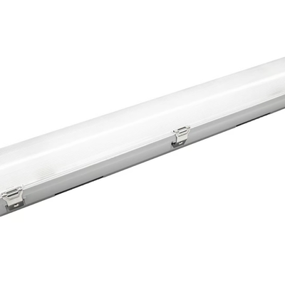 radial-slim-mbn-630905-rel10264051.jpg