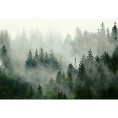 BOREAL-FOREST-PaperMint-620143-rel39c1232c.jpg