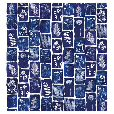 CYANOTYPE-BOTANICUM-PaperMint-620259-rela29d03d9.jpg