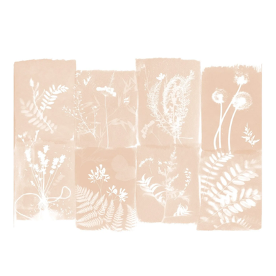 CYANOTYPE-FLEURS-DES-CHAMPS-PaperMint-620260-rel7297e801.jpg