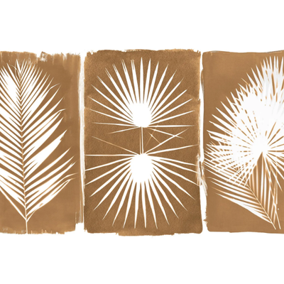CYANOTYPE-TROPICAL-PaperMint-620262-reld13b59d7.jpg
