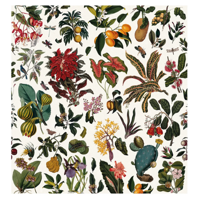 FLEURS-D-ANTAN-PaperMint-620300-relfdd54888.jpg