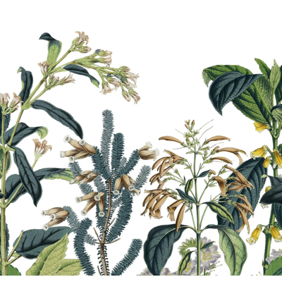VICTORIAN-GARDEN-PaperMint-620385-rel1824534a.jpg