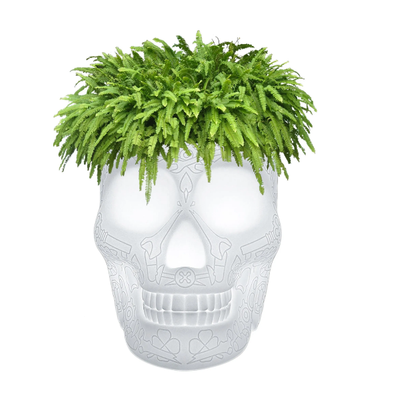 MEXICO-Planter-with-light-Qeeboo-300288-rel5cfef496.jpg