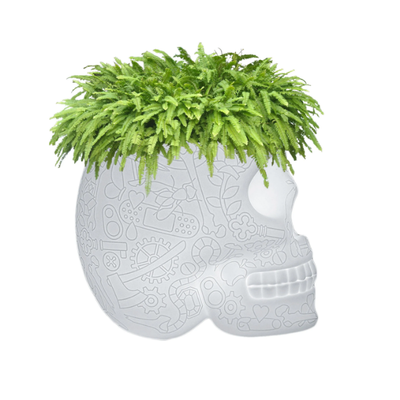 MEXICO-Planter-with-light-Qeeboo-300288-relbfd77801.jpg