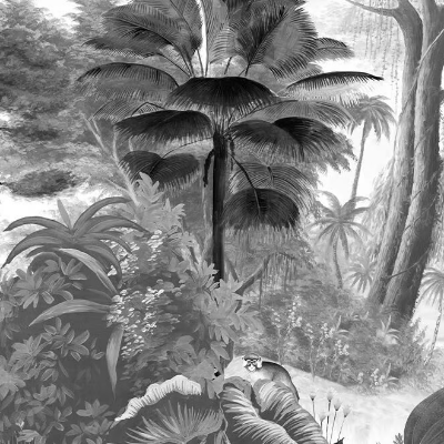 Ressource_PARADIS-DES-TROPIQUES-NOIR--BLANC_MQ6pYuuZEm.jpeg