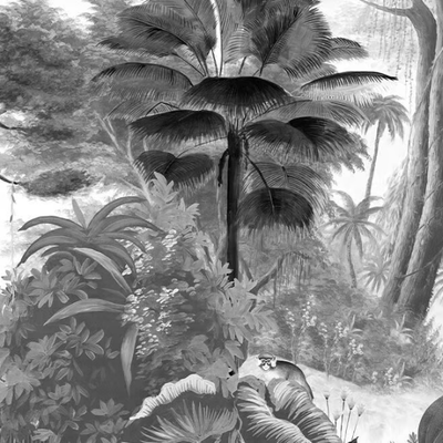 Ressource_PARADIS-DES-TROPIQUES-NOIR--BLANC_cvTjenidLB.jpeg