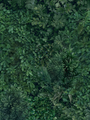 GREEN-WALL-STON-606686-rel50cbc79d.jpg