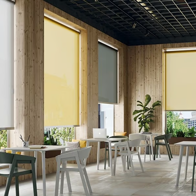 Roller-blind-Saxun-637153-rel6cb05f9f.jpg