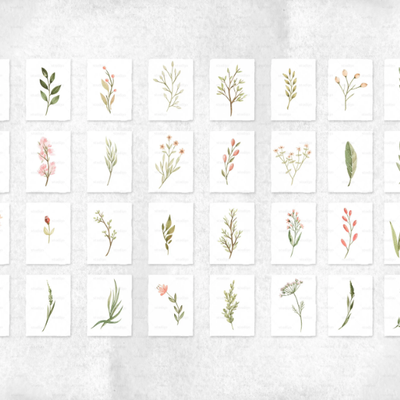 HERBARIUM-Studijo-556573-rel8876c5b3.jpg
