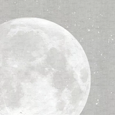 MOON-Studijo-556569-rel7a4ca35b.jpg