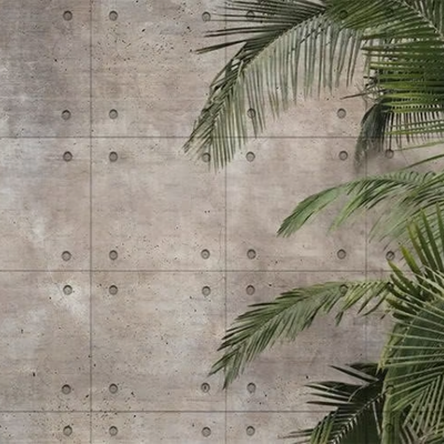 PALM-TREE-Studijo-556309-rel9a249d9f.jpg