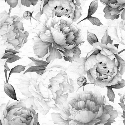 PEONIES-BLACK-AND-WHITE-Studijo-556304-relc274ecca.jpg