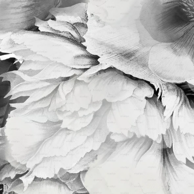 PEONY-ONE-PEONY-Studijo-556306-relc2ad23a1.jpg