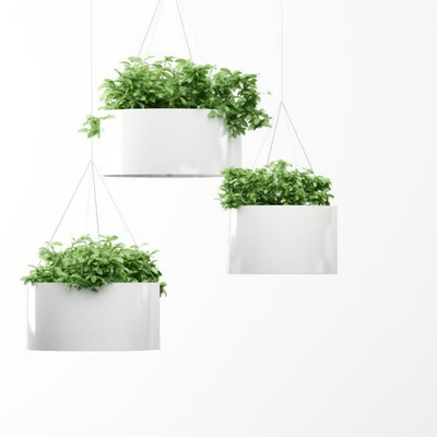 GREEN-CLOUD-Systemtronic-240221-rel74630aa6.jpg