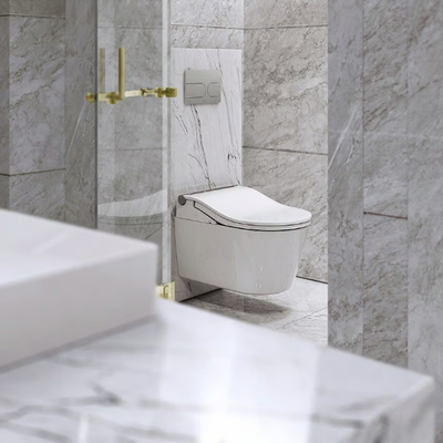 TOTO_WASHLET-RW_HCuf6g2smx.jpeg