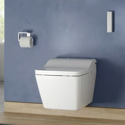 TOTO_WASHLET-SW-AUTO-FLUSH_LiDgalKVlx.jpeg