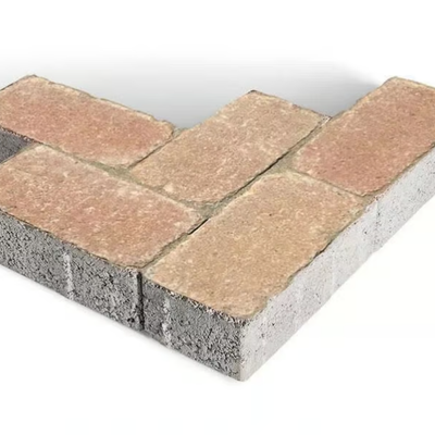 Tegolaia_VECCHIA-TAVELLA_IyLW5pkPGX.jpeg