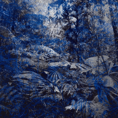 JUNGLE-Texturae-304423-rel61f46e7e.jpg