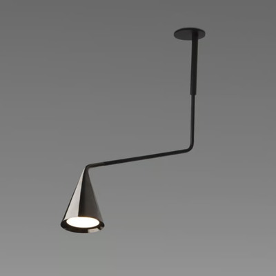 gordon-ceiling-lamp-with-swing-arm-tooy-521872-rel339b052f.jpg