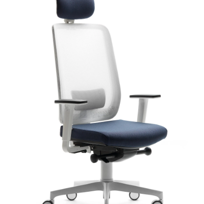 ASSIA-EV-Executive-chair-VAGHI-522606-rel16d2caa3.jpg
