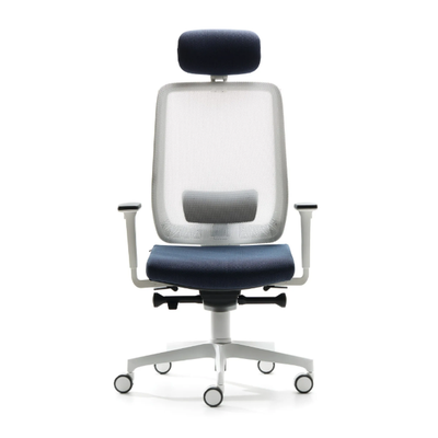 executive-chair-vaghi-522606-relcd792632.jpg