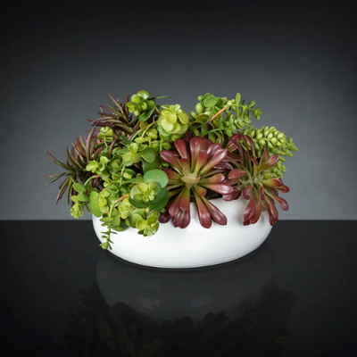 fat-plant-mix-vgnewtrend-585340-rel58e262e9.jpg