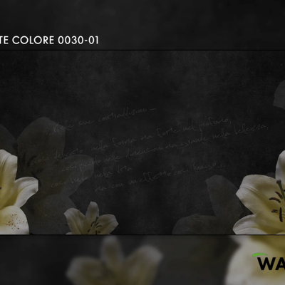 LILY-wallyart-420499-rel58996f0e.png
