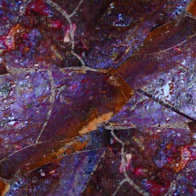 Multicolor Blood Agate