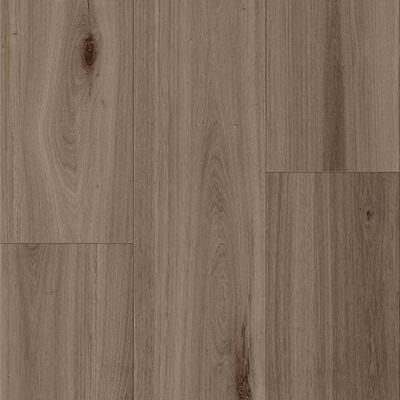 ASP03_Umber.jpg