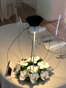 IMG_5718(2)_280x280.JPG