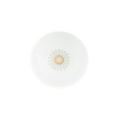 P206_2.png