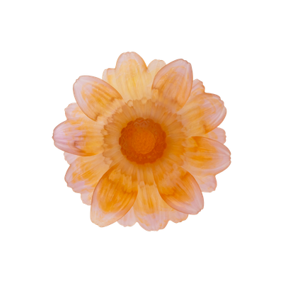 05886_2.png