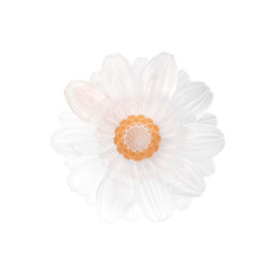 05886-1_2.png