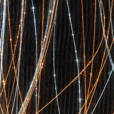02-12-25_10055-organza-black-ice-goldzoom-inn.jpg
