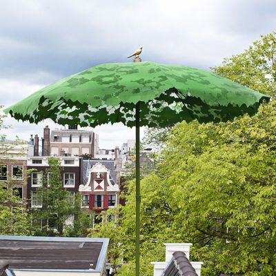 green-shady-lace.jpg