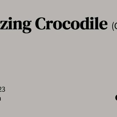 Amazing+Crocodile.jpg