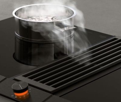 16213148_gaggenau-ventilation-200-series-vario-downdraft-carousel-1.jpg