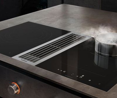 16933765_gaggenau-ventilation-400-series-vario-downdraft-carousel-1.jpg